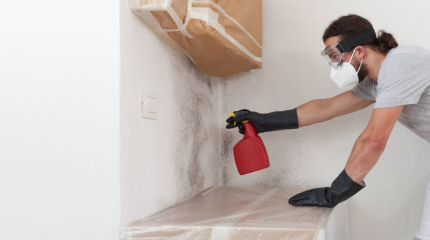 Professional Bathroom Mold Removal technician working in Clear Brook, VA
